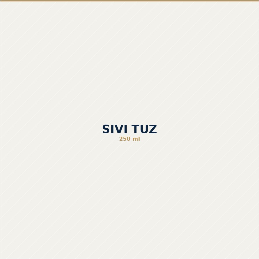 Vital Active Sıvı Tuz 250 mililitre şişe